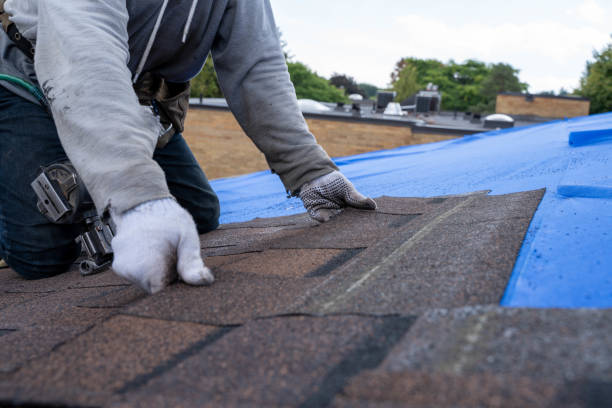 Best Gutter Installation and Roofing  in Ramseur, NC